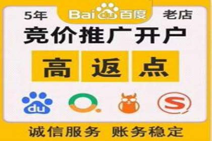 SEM外包公司服务优势及成功案例解析